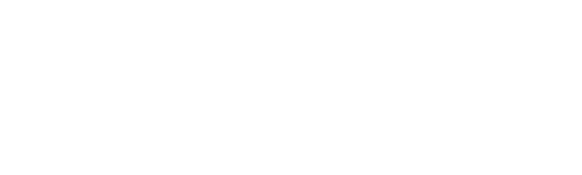 vpin-logo